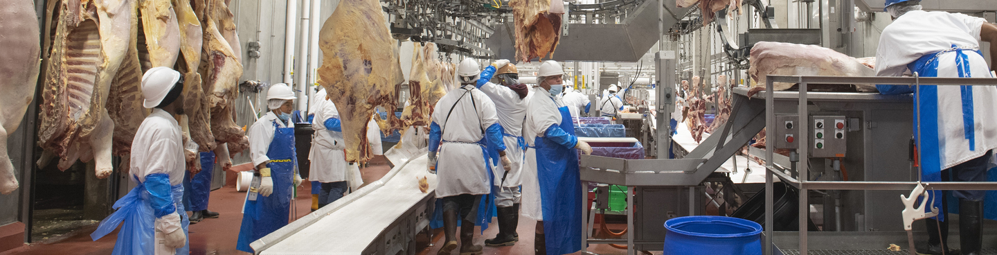 Sustainable Beef Production, Brown Packing Co.